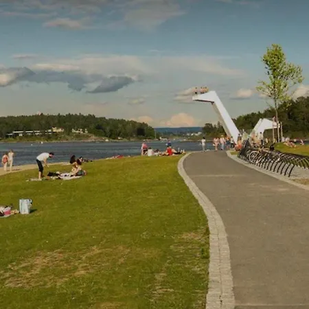 Rose ساندفيكا